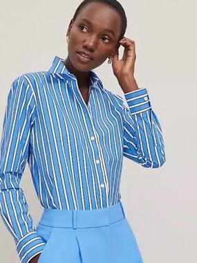 Ann Taylor Blue and White Vertical Stripe Dress Shirt